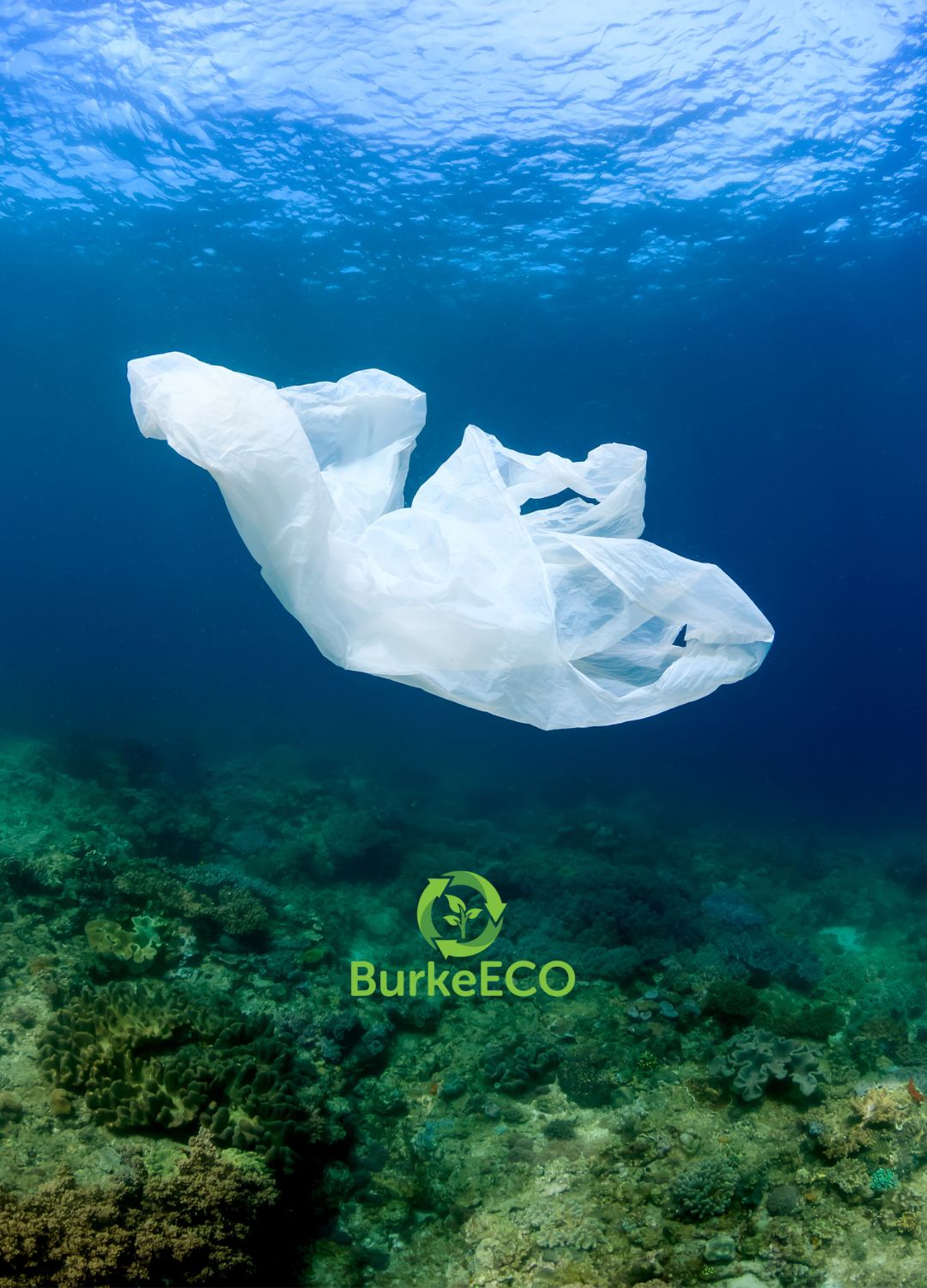 Plastic-Free Marketing at Burke Group