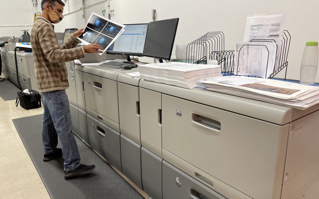 Your Trusted Edmonton Printer