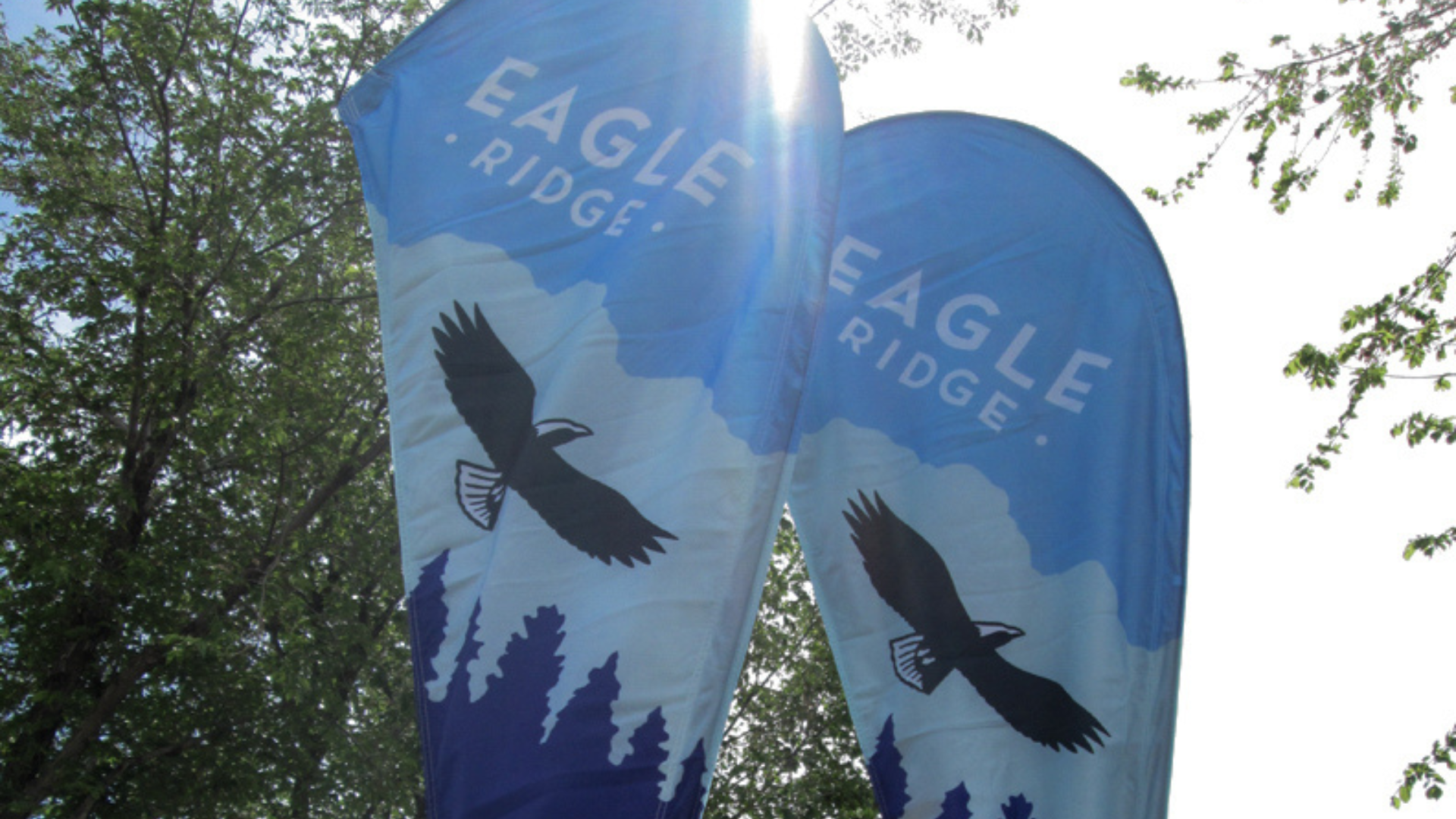 Burke Group Trade Show Displays