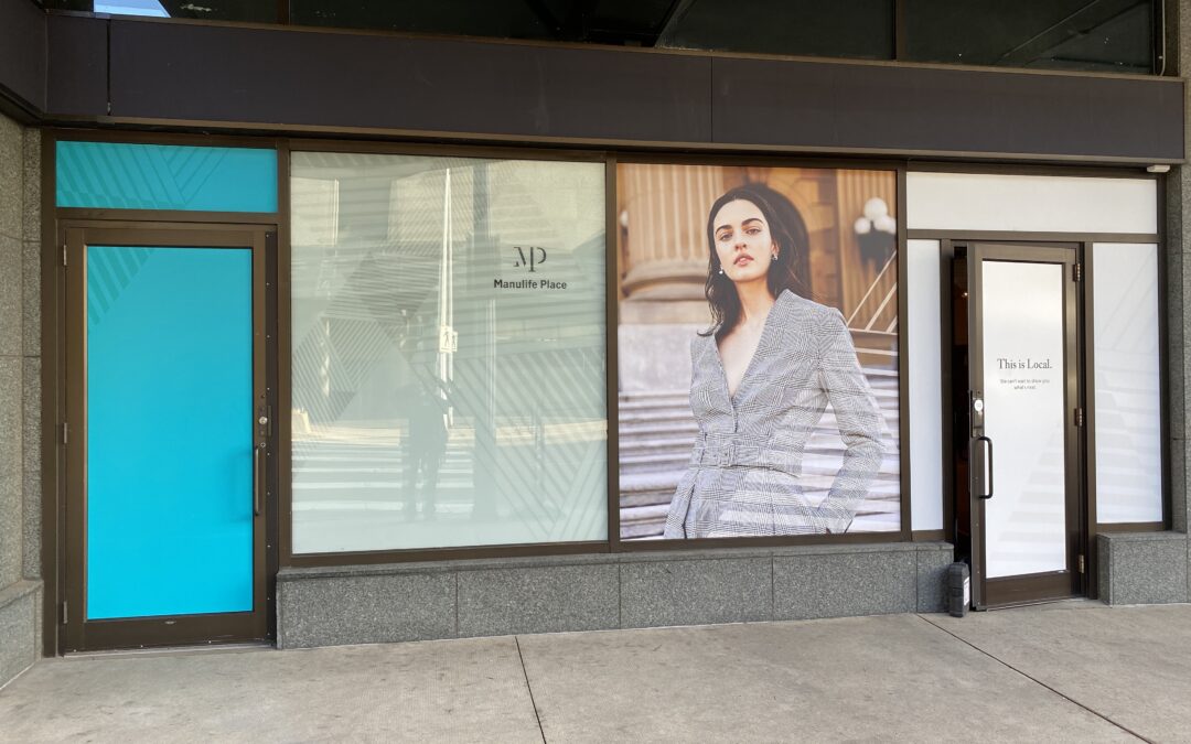 Window Vinyl: Myths, Mullions, and What Actually Works